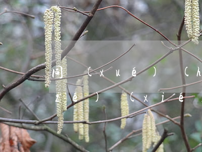 同學(xué)會(huì)簽“飲酒免責(zé)協(xié)議”有效嗎？答案來了：4種情形要擔(dān)責(zé)！
